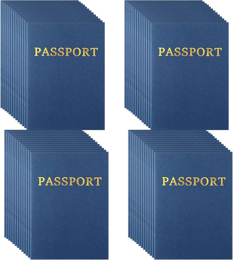 81jV+Fl67DL._AC_UF894,1000_QL80_ passport book